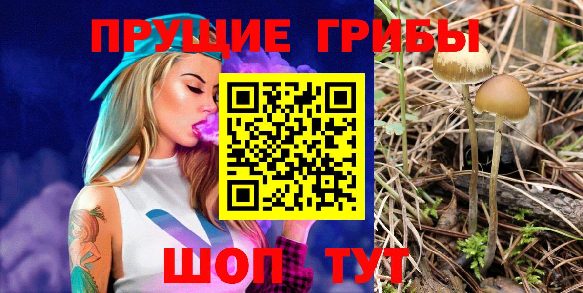 Галлюциногенные грибы Psilocybe Лангепас
